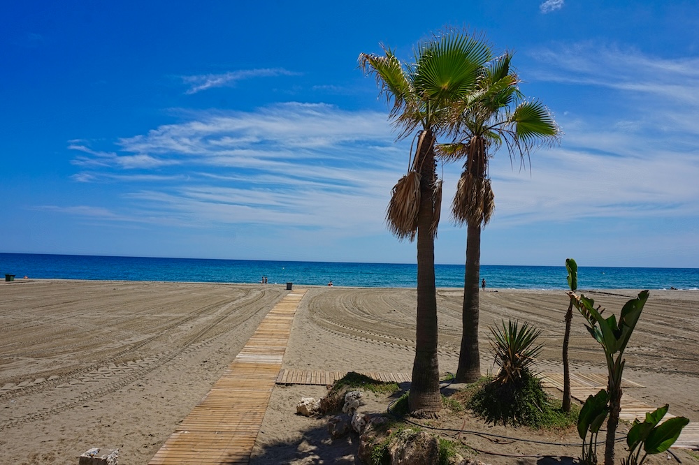plaja Spania palmieri